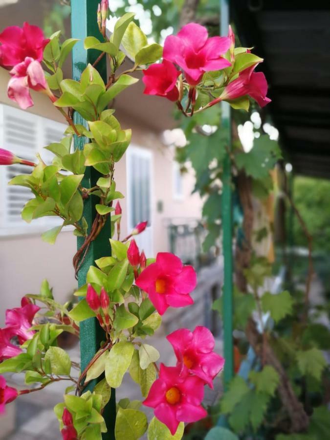 Sunny House Apartment Korčula Екстериор снимка